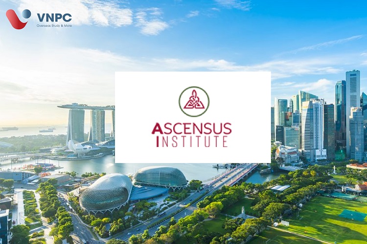 Du học Singapore giá rẻ cùng Ascensus Institute